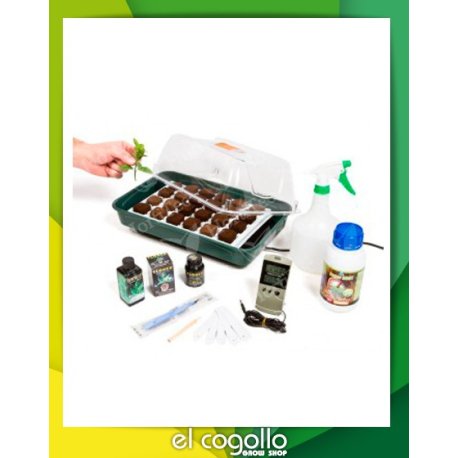 Kit de propagación VDL