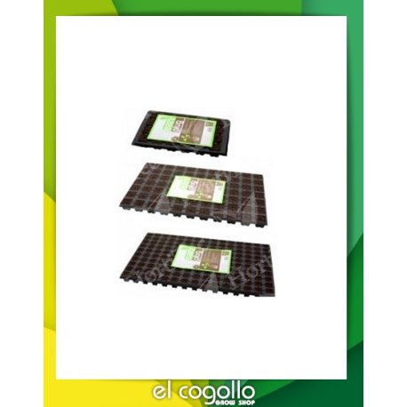 Bandeja Dried Eazy Plug 12 alveolos