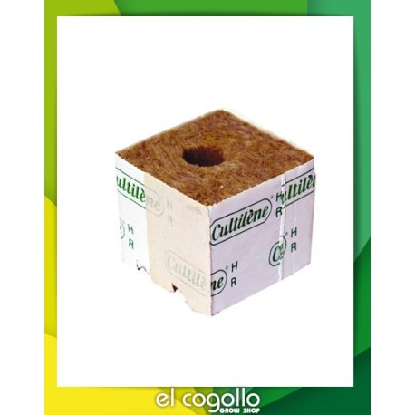 Taco de siembra Plug 28x35 mm
