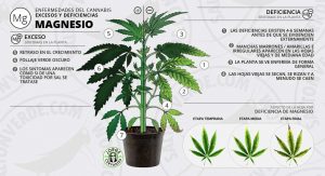 tabla de falta y exceso de Magnesio
