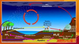 Ciclo natural del Azufre
