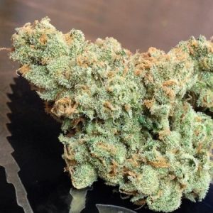 Cogollo de Jack Herer