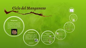 Ciclo natural Manganeso