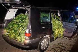 coche con hurto de cannabis