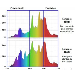 espectros LEC 3100 y 4200 K