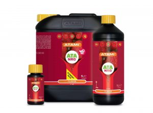 Flavor azúcares de engorde de Cannabis
