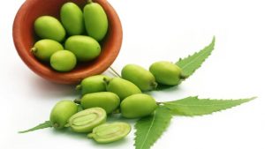 Semillas de Neem