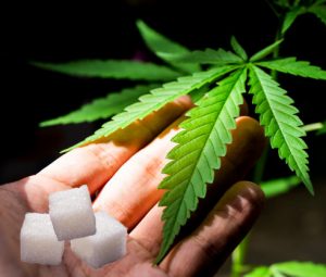 Marihuana y azúcares 