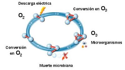 efectos del ozono