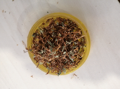 Grinder con mezcla de maria y tabaco