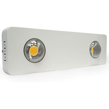 Led Agrolite Cob 2 x 100W