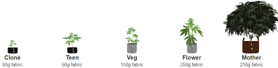 Cultivo en Root Pouch