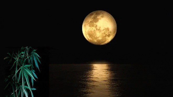 Calendario Lunar 2022