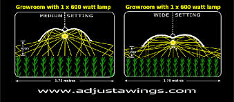 Super Spreader en Adjust-A-Wing